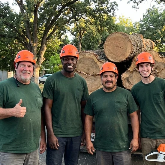 Allscape Solutions LLC tree crew with a truck loaded with oak logs in Albuquerque